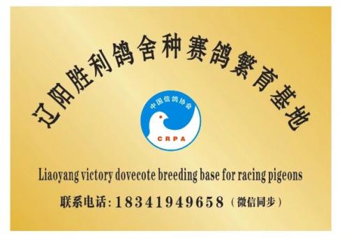 ����ʤ�������ָ�