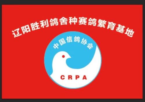 ����ʤ�������ָ�