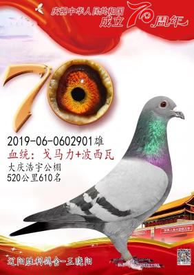 ����ʤ�������ָ�