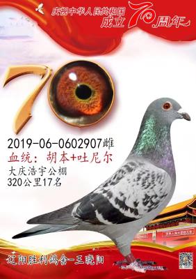 ����ʤ�������ָ�