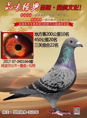 ����ʤ�������ָ�