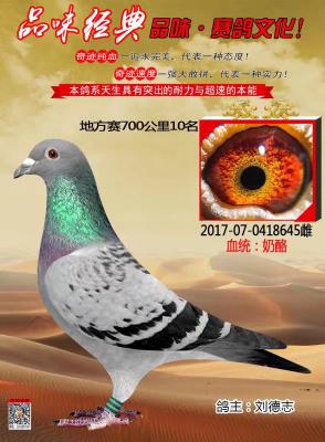 ����ʤ�������ָ�