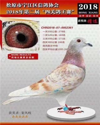 ����ʤ�������ָ�