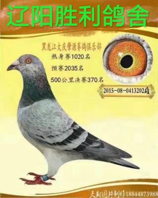 ����ʤ�������ָ�