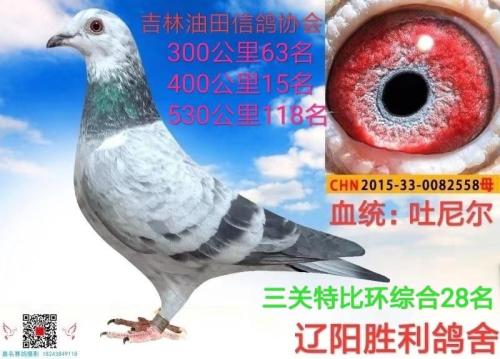 ����ʤ�������ָ�