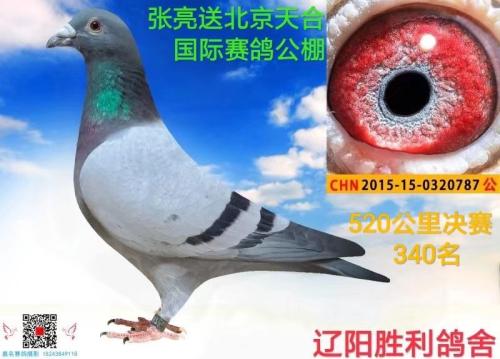 ����ʤ�������ָ�