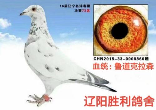 ����ʤ�������ָ�