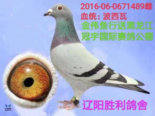 ����ʤ�������ָ�