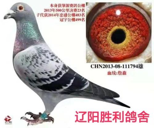 ����ʤ�������ָ�