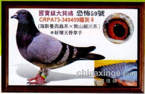 �ֲ�59����