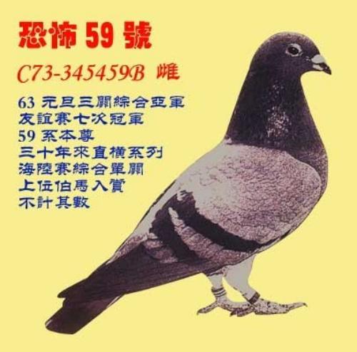 �ֲ�59�����������Ƭ