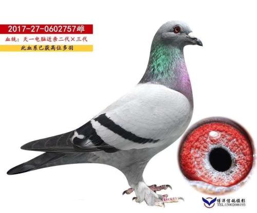 ��һ����