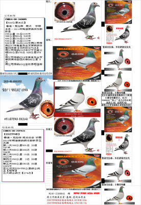 ³������ɭ������