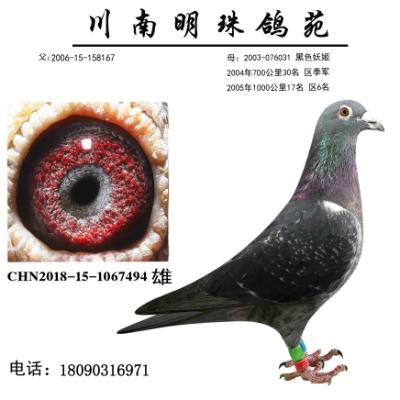 ���� Զ����˧