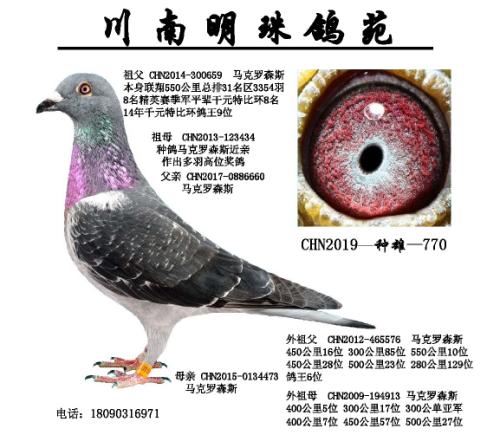 ���� ������ɭ˹