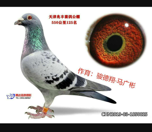 ����һ��