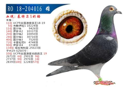 ���һ��ض�