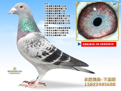 ��һ����