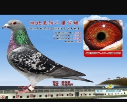 ����һ�����ｱ��