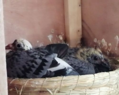 �������