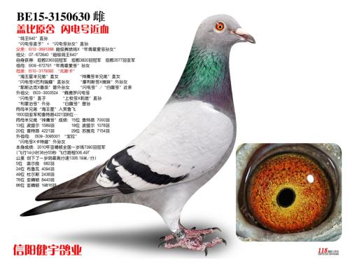 �����ָ�