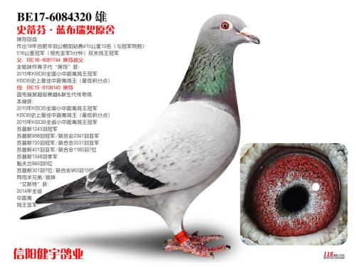 �����ָ�