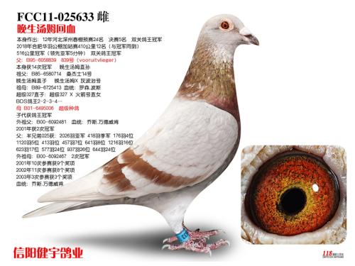 �����ָ�