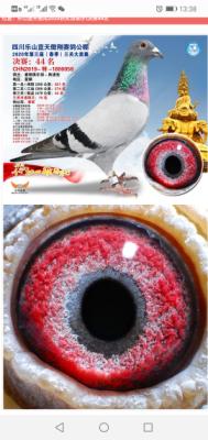 2020����44��