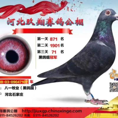 �ڸ���ھ�