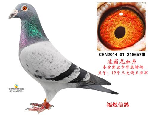 �����Ǿ�����