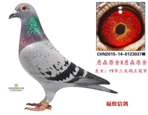 ���ظ����ھ�ĸ