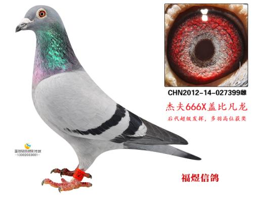 ������ĸ399