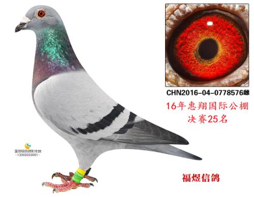 ���蹫�����25��