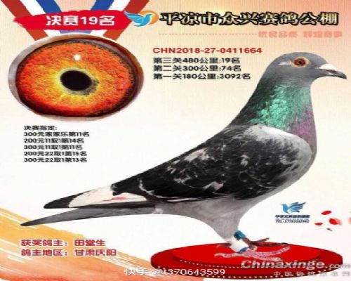 ���˹���19��