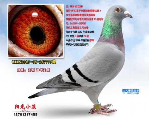 ����vip���ֱŮ