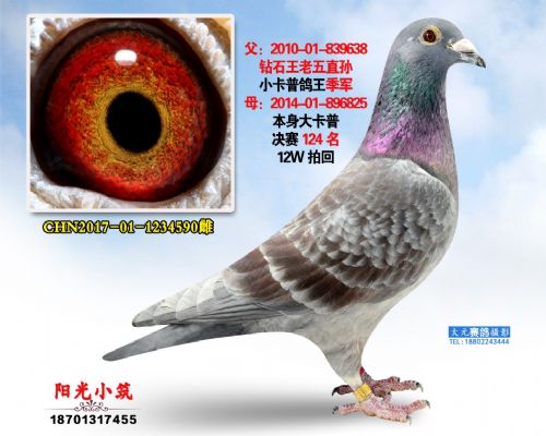 ����ר��С�Ƹ�