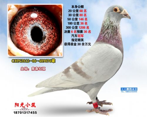 �����ھ�