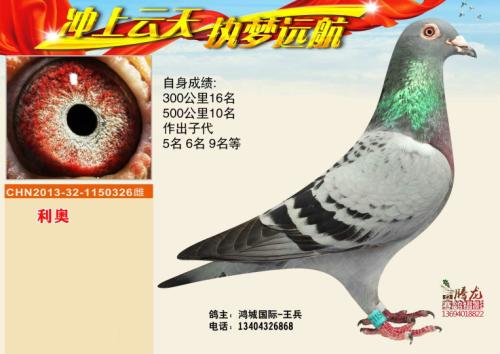 �����ָ�