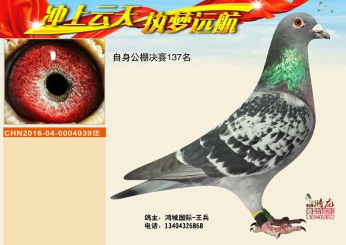 �����ָ�