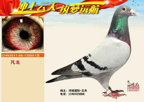 �����ָ�