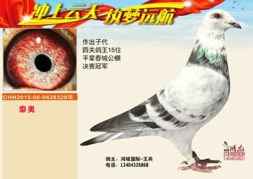 �����ָ�