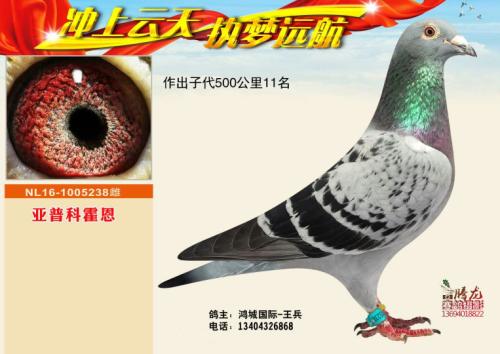 �����ָ�