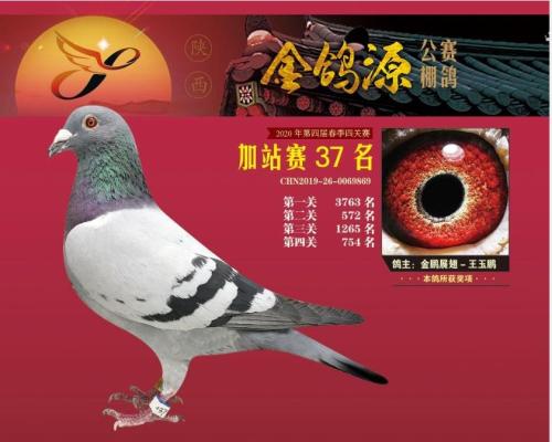 ��ǹƥ��ս���