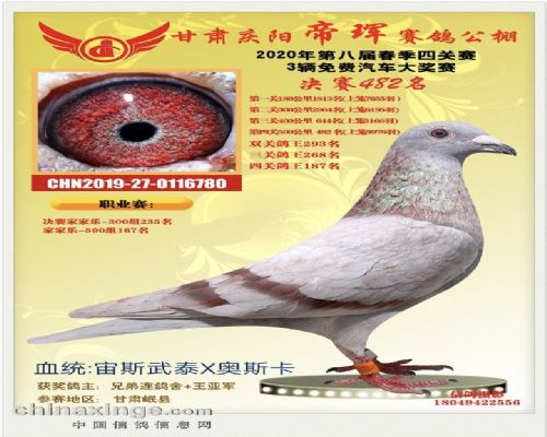 �����������482��