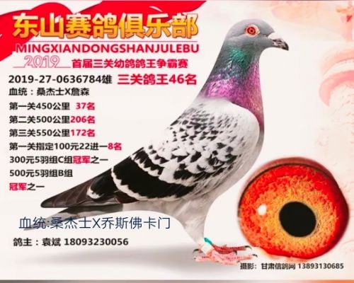 ��ض�ɽ������ֲ��ر�46��