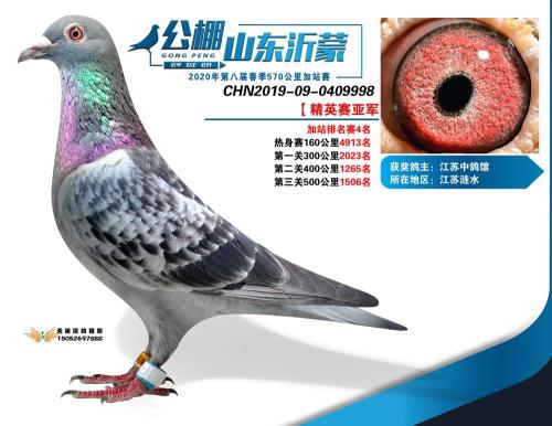 ��Ӣ���Ǿ�