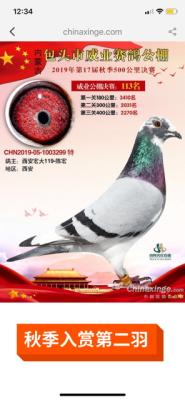 ����ɼ���