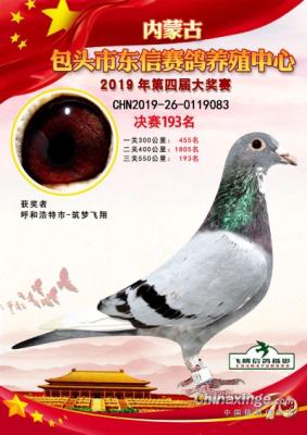 ����ɼ���