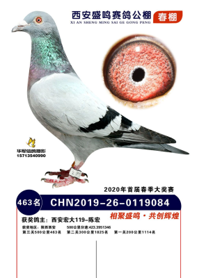 ����ɼ���