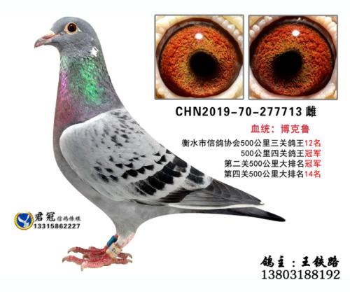 ������������·3